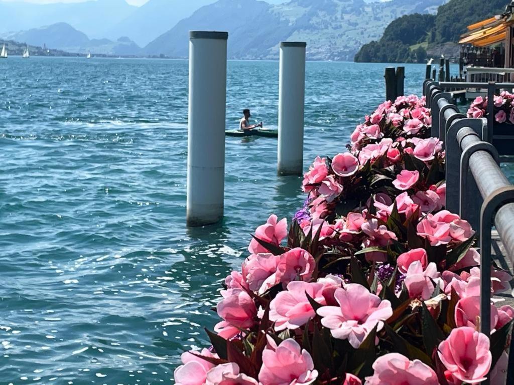 Seehotel Schwert Gersau Buitenkant foto