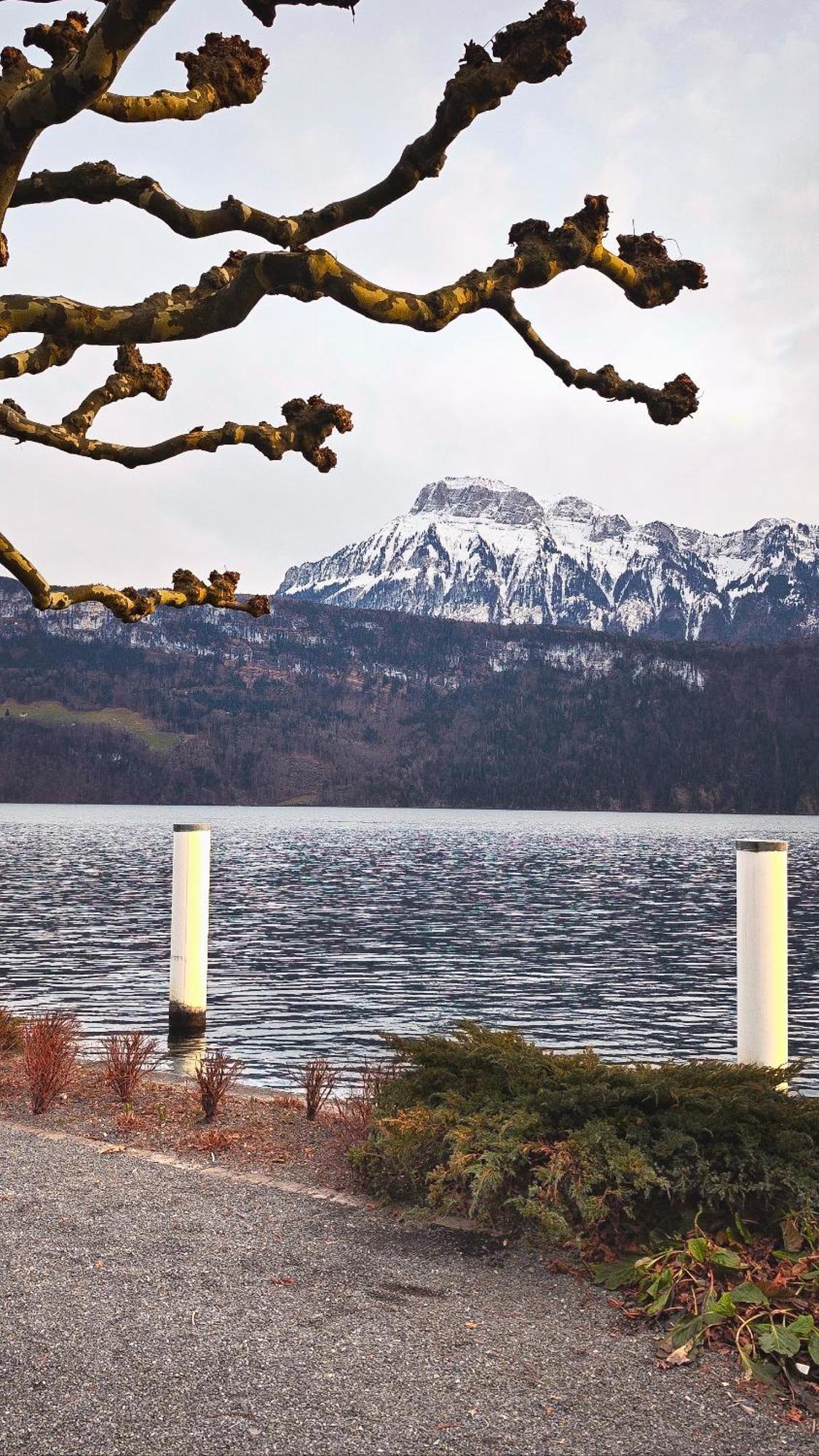 Seehotel Schwert Gersau Buitenkant foto